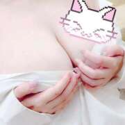 ヒメ日記 2025/04/05 07:35 投稿 あんず ナチュラルプリンセス