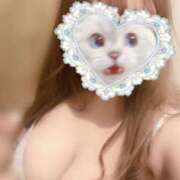 ヒメ日記 2025/04/30 18:15 投稿 あんず ナチュラルプリンセス