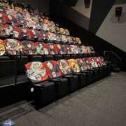 ヒメ日記 2025/08/05 18:37 投稿 あんず ナチュラルプリンセス