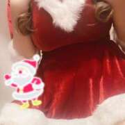 ヒメ日記 2025/12/19 21:45 投稿 あんず ナチュラルプリンセス