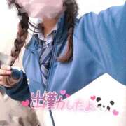 ヒメ日記 2024/12/21 18:56 投稿 ニャオハ Cawaiiハイ！スクールリターンズ