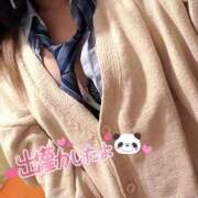 ヒメ日記 2024/12/27 18:44 投稿 ニャオハ Cawaiiハイ！スクールリターンズ