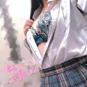 ヒメ日記 2024/12/29 18:46 投稿 ニャオハ Cawaiiハイ！スクールリターンズ