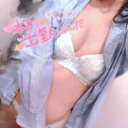 ヒメ日記 2025/01/04 18:36 投稿 ニャオハ Cawaiiハイ！スクールリターンズ