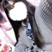 ヒメ日記 2025/03/01 14:59 投稿 ニャオハ Cawaiiハイ！スクールリターンズ