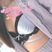 ヒメ日記 2025/03/18 13:42 投稿 ニャオハ Cawaiiハイ！スクールリターンズ