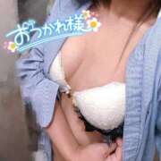 ヒメ日記 2025/04/02 13:27 投稿 ニャオハ Cawaiiハイ！スクールリターンズ