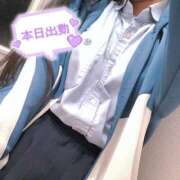 ヒメ日記 2025/04/05 14:25 投稿 ニャオハ Cawaiiハイ！スクールリターンズ