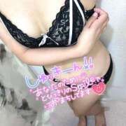 ヒメ日記 2025/04/20 21:10 投稿 ニャオハ Cawaiiハイ！スクールリターンズ