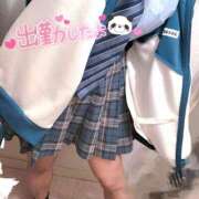 ヒメ日記 2025/05/27 19:05 投稿 ニャオハ Cawaiiハイ！スクールリターンズ