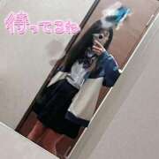 ヒメ日記 2025/06/19 15:00 投稿 ニャオハ Cawaiiハイ！スクールリターンズ