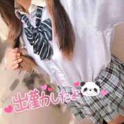 ヒメ日記 2025/06/20 20:21 投稿 ニャオハ Cawaiiハイ！スクールリターンズ