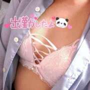 ヒメ日記 2025/07/10 19:35 投稿 ニャオハ Cawaiiハイ！スクールリターンズ