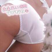 ヒメ日記 2025/08/30 15:21 投稿 ニャオハ Cawaiiハイ！スクールリターンズ