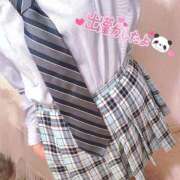 ヒメ日記 2025/09/02 18:39 投稿 ニャオハ Cawaiiハイ！スクールリターンズ