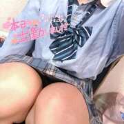 ヒメ日記 2025/09/11 19:35 投稿 ニャオハ Cawaiiハイ！スクールリターンズ