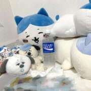 ヒメ日記 2025/10/22 18:30 投稿 ニャオハ Cawaiiハイ！スクールリターンズ