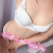 ヒメ日記 2025/10/24 13:52 投稿 ニャオハ Cawaiiハイ！スクールリターンズ