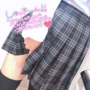 ヒメ日記 2025/10/25 18:40 投稿 ニャオハ Cawaiiハイ！スクールリターンズ