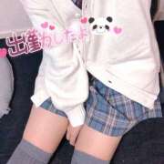 ヒメ日記 2025/11/05 19:51 投稿 ニャオハ Cawaiiハイ！スクールリターンズ