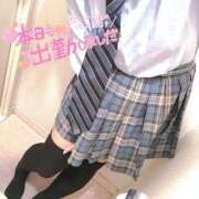 ヒメ日記 2025/11/14 19:42 投稿 ニャオハ Cawaiiハイ！スクールリターンズ