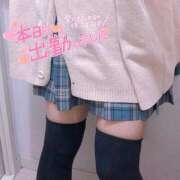 ヒメ日記 2025/11/20 19:40 投稿 ニャオハ Cawaiiハイ！スクールリターンズ