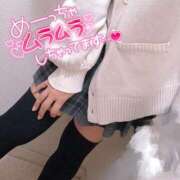 ヒメ日記 2025/12/03 15:06 投稿 ニャオハ Cawaiiハイ！スクールリターンズ