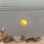 ニャオハ 月が綺麗ですね Cawaiiハイ！スクールリターンズ