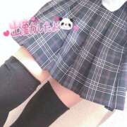 ニャオハ お土産もって Cawaiiハイ！スクールリターンズ