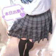 ヒメ日記 2025/12/12 14:38 投稿 ニャオハ Cawaiiハイ！スクールリターンズ