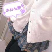 ヒメ日記 2025/12/15 15:04 投稿 ニャオハ Cawaiiハイ！スクールリターンズ