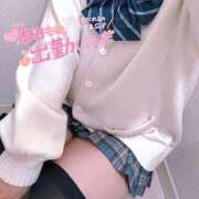 ヒメ日記 2025/12/15 19:33 投稿 ニャオハ Cawaiiハイ！スクールリターンズ