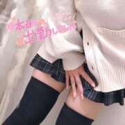 ヒメ日記 2025/12/23 19:52 投稿 ニャオハ Cawaiiハイ！スクールリターンズ