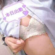 ヒメ日記 2025/12/26 15:22 投稿 ニャオハ Cawaiiハイ！スクールリターンズ