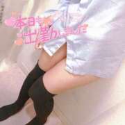 ヒメ日記 2025/12/26 19:03 投稿 ニャオハ Cawaiiハイ！スクールリターンズ