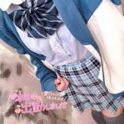 ヒメ日記 2026/01/04 19:48 投稿 ニャオハ Cawaiiハイ！スクールリターンズ