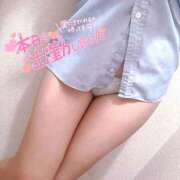 ヒメ日記 2026/02/28 18:32 投稿 ニャオハ Cawaiiハイ！スクールリターンズ