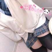 ヒメ日記 2026/03/04 18:46 投稿 ニャオハ Cawaiiハイ！スクールリターンズ