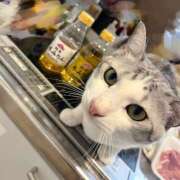 ヒメ日記 2026/03/06 19:37 投稿 ニャオハ Cawaiiハイ！スクールリターンズ