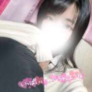 ヒメ日記 2026/03/11 15:41 投稿 ニャオハ Cawaiiハイ！スクールリターンズ