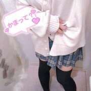 ヒメ日記 2026/04/01 14:39 投稿 ニャオハ Cawaiiハイ！スクールリターンズ