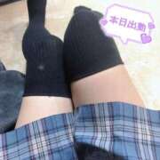 ヒメ日記 2026/04/02 14:35 投稿 ニャオハ Cawaiiハイ！スクールリターンズ