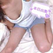 ヒメ日記 2026/04/13 16:20 投稿 ニャオハ Cawaiiハイ！スクールリターンズ