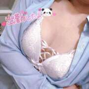 ヒメ日記 2026/04/14 20:38 投稿 ニャオハ Cawaiiハイ！スクールリターンズ