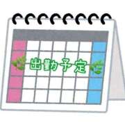 ヒメ日記 2026/08/19 20:03 投稿 ニャオハ Cawaiiハイ！スクールリターンズ