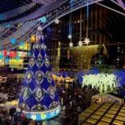 ヒメ日記 2025/12/12 02:00 投稿 ななせ IRIS(岐阜)