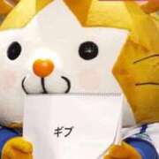 ヒメ日記 2026/03/12 19:43 投稿 ななせ IRIS(岐阜)