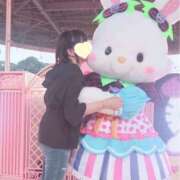 ヒメ日記 2026/05/21 03:46 投稿 ななせ IRIS(岐阜)