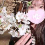 ヒメ日記 2025/04/04 12:00 投稿 ゆき クラブ バレンタイン大阪