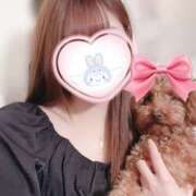 ヒメ日記 2025/03/08 23:42 投稿 てんか 新潟風俗 Cherish Amulet